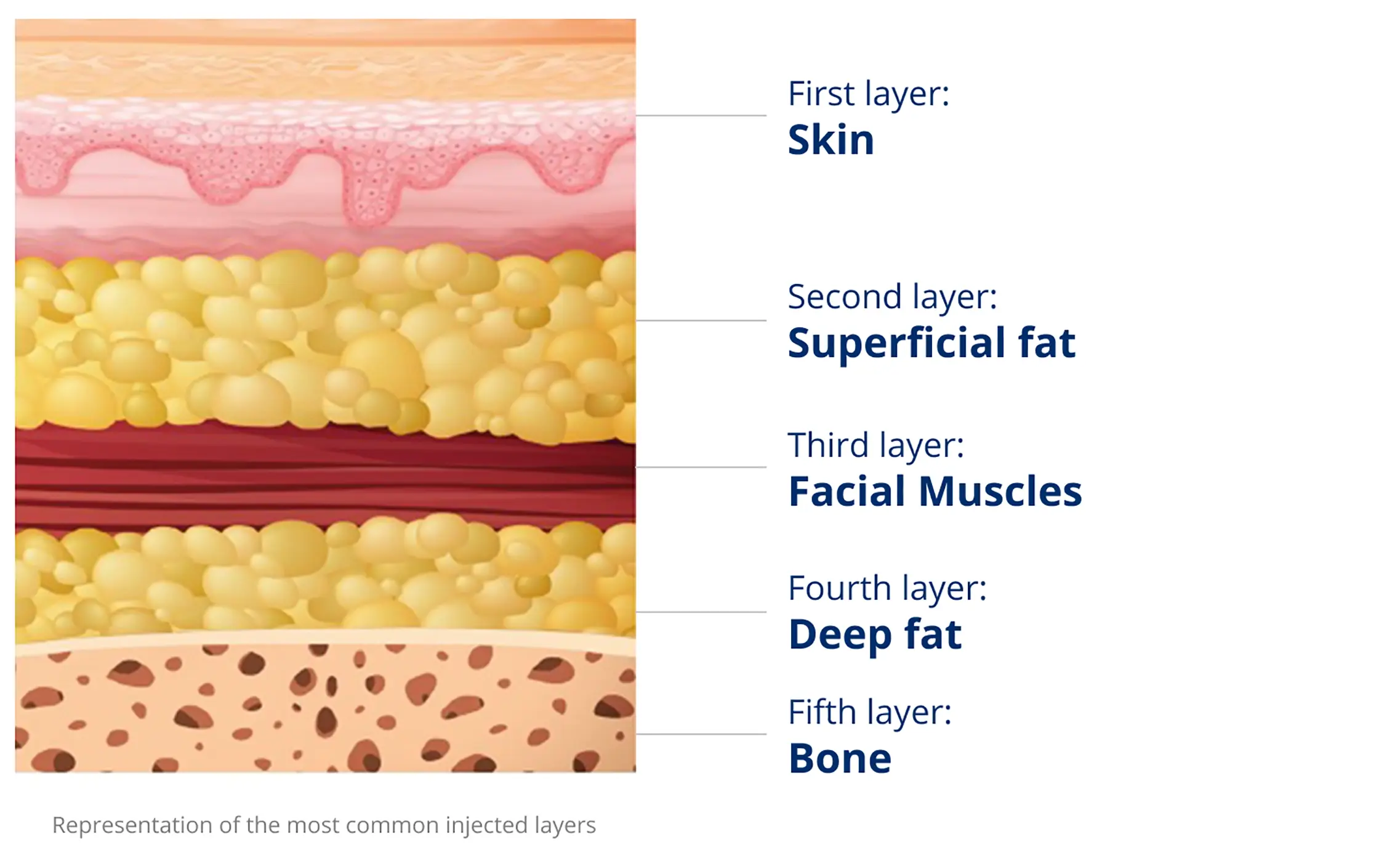 Aging isn't just about the skin